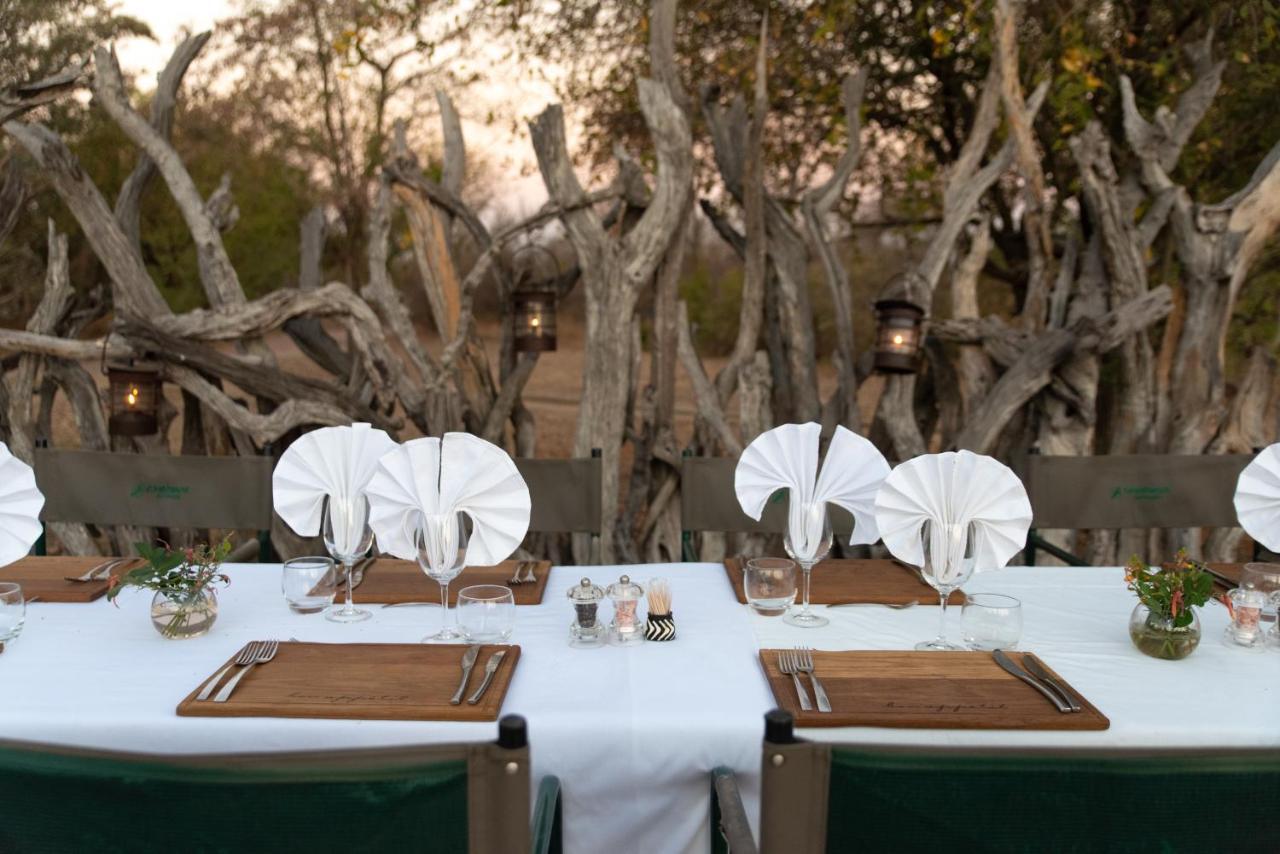 Baobab Ridge Villa Klaserie Özel Doğa Koruma Alanı Dış mekan fotoğraf